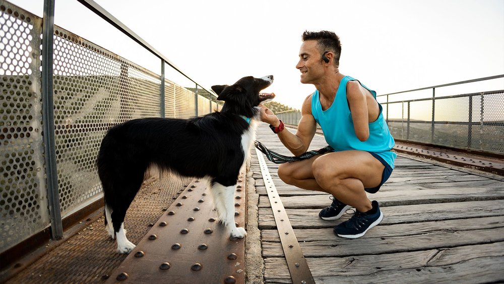 A man crouches on a boardwalk to greet a border collie.