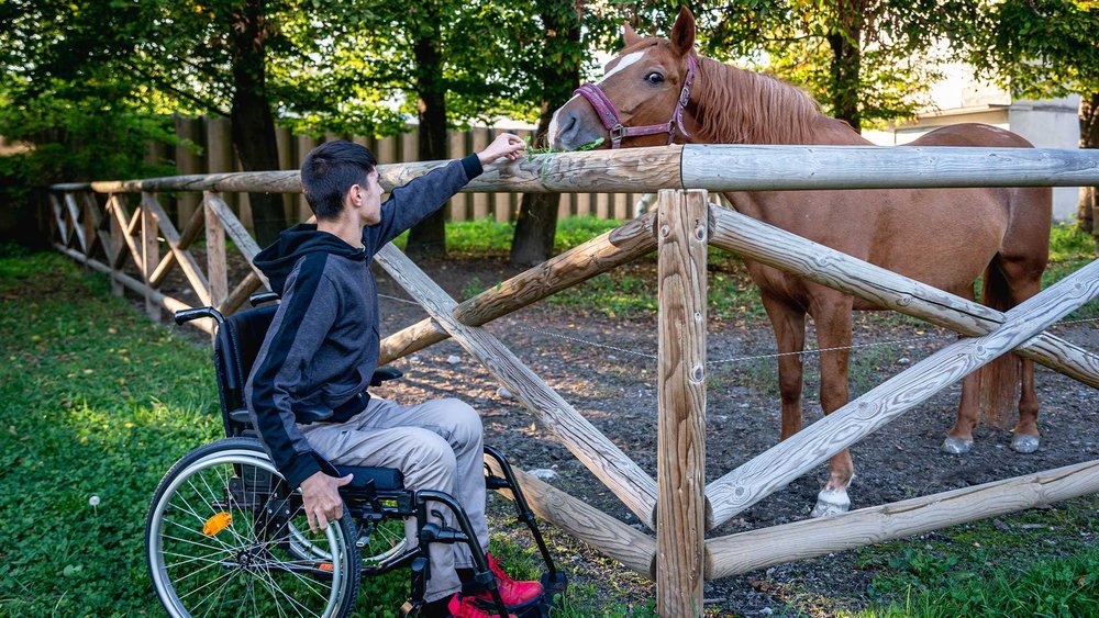 A man in a wheelchair reaches out to pet a horse over a wooden fence.